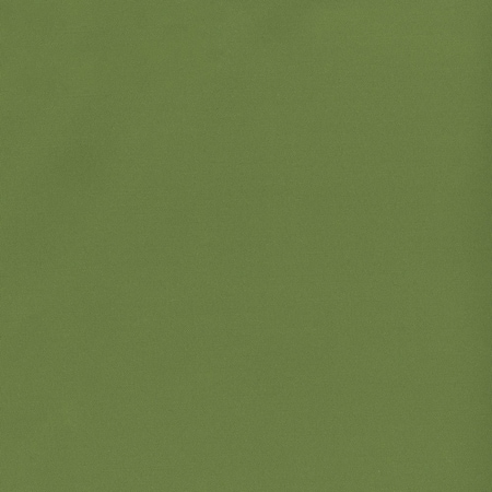 Seamtec Fern, Woven Plain, 1 Yard L, 54" W SEAMSGSEQU21FABCU